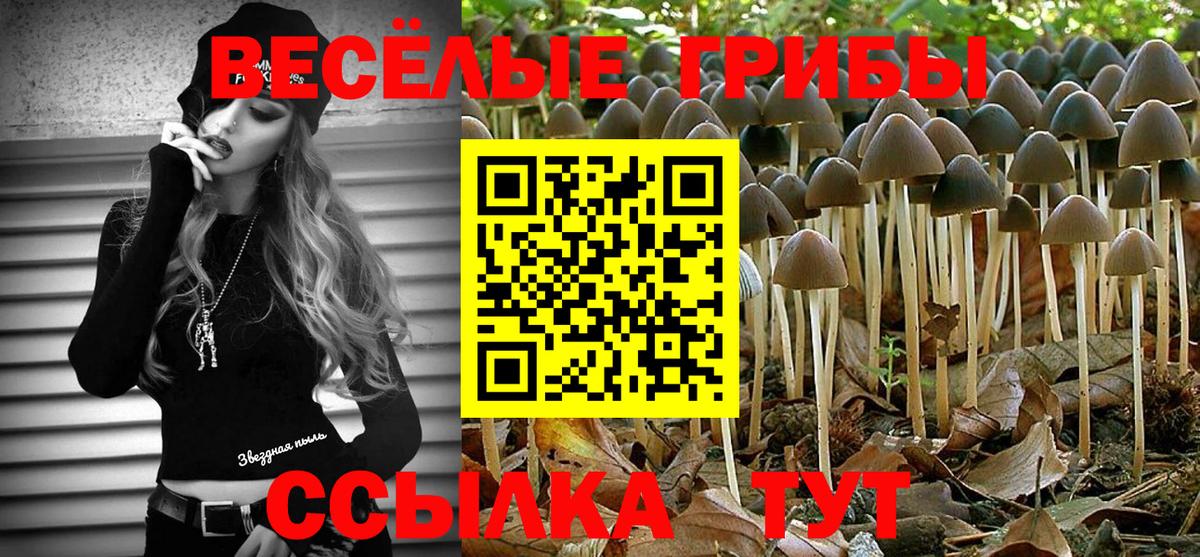 Псилоцибиновые грибы мицелий Омск