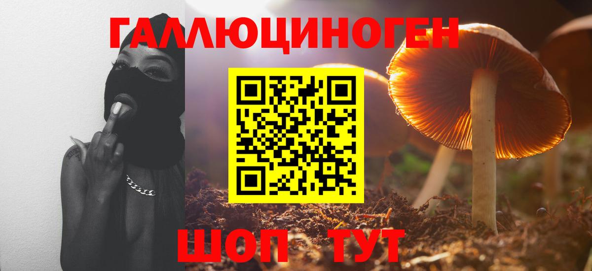 Псилоцибиновые грибы MAGIC MUSHROOMS  Вход с VPN  Омск  Псилоцибиновые грибы GOLDEN TEACHER 